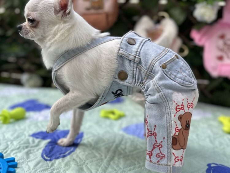 Dog Jumpsuit #9