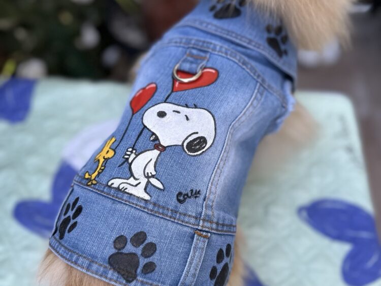 Dog Jacket #1