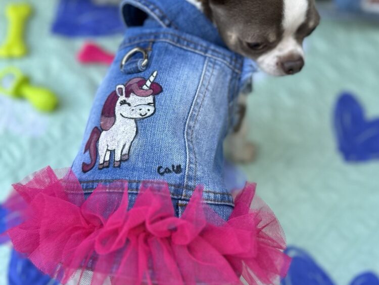 Dog Jacket #4