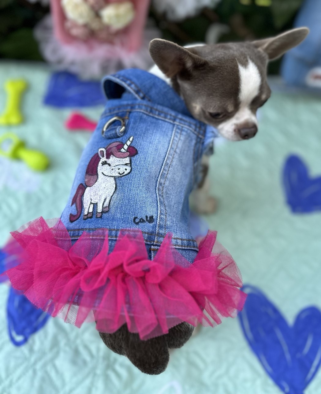 Dog Jacket #4